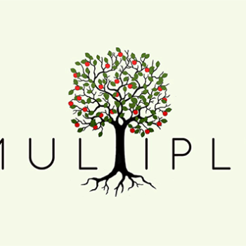 Multiply-Sermon-Banner